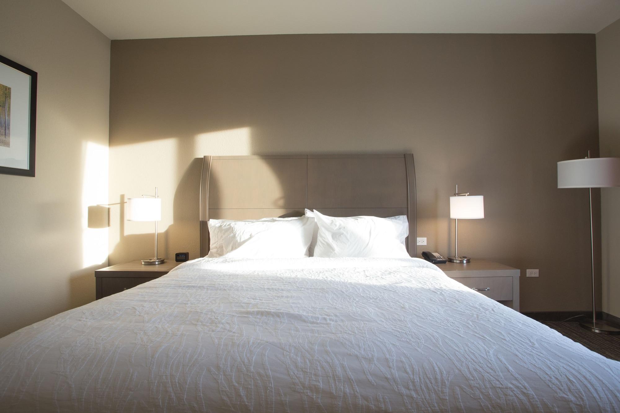 Hilton Garden Inn Bolingbrook I-55 Экстерьер фото