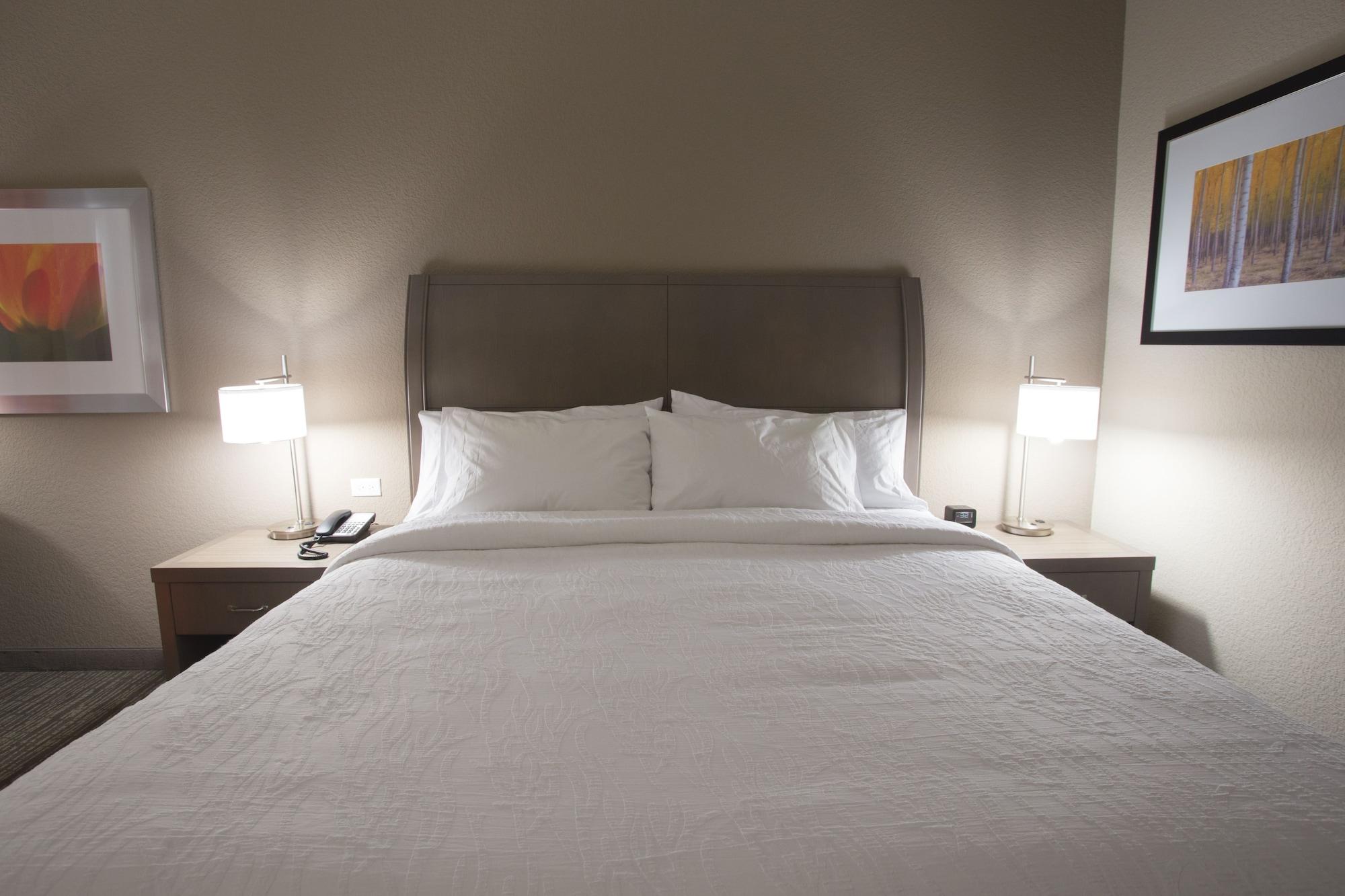 Hilton Garden Inn Bolingbrook I-55 Экстерьер фото